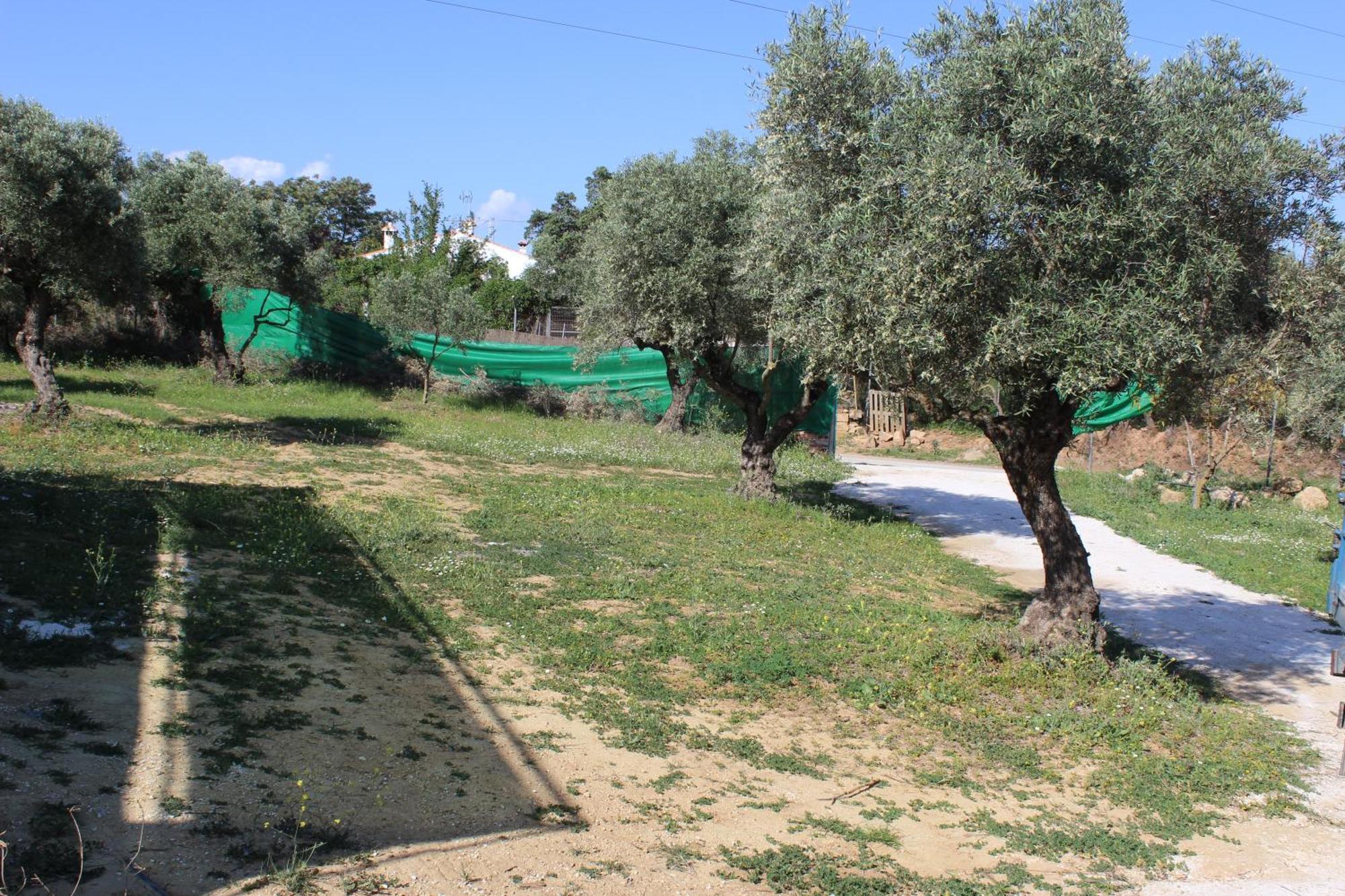 Holiday home En