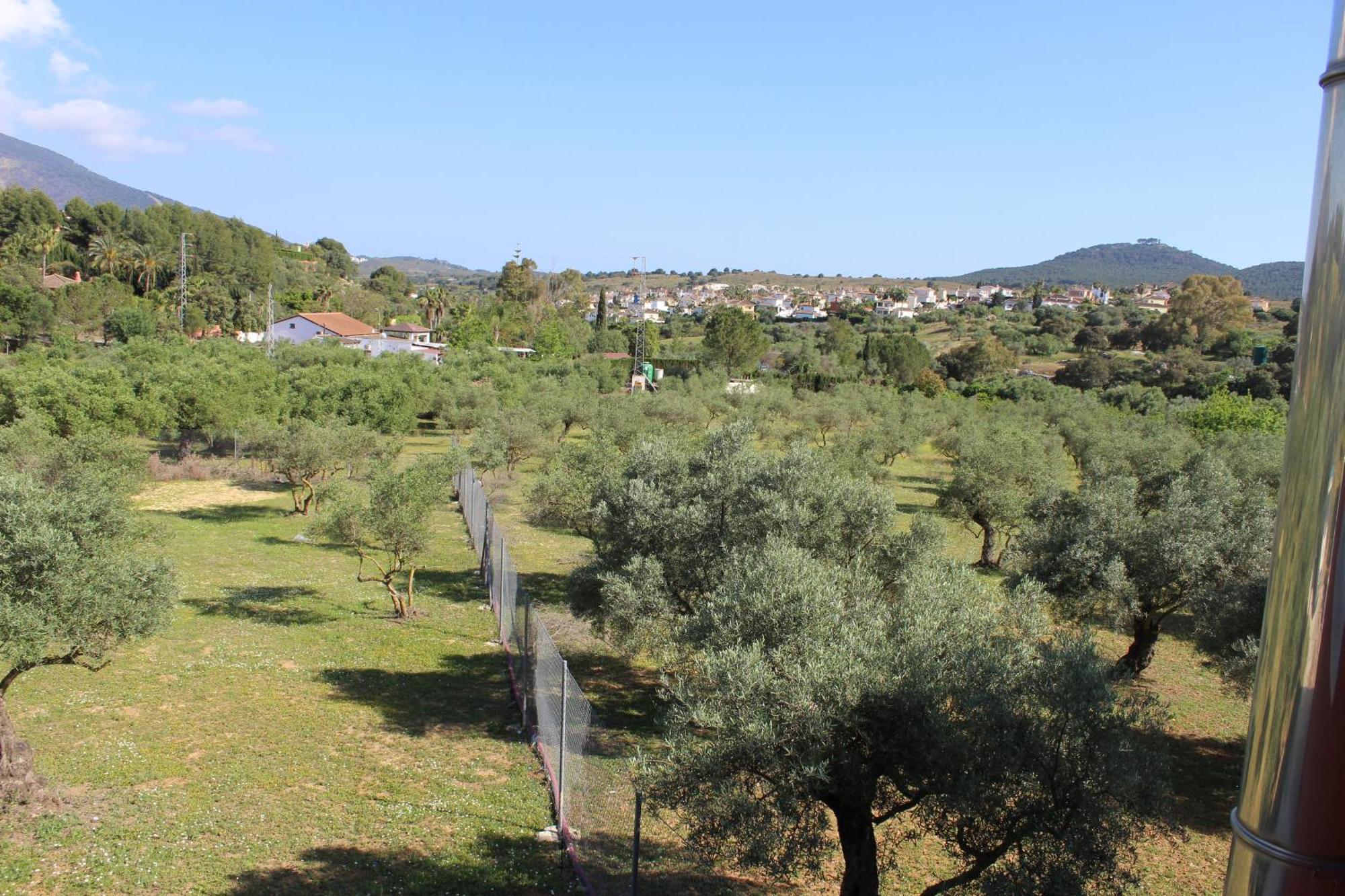 En Coín